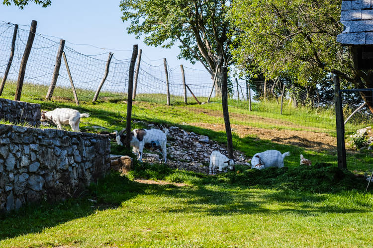 Turistična kmetija Abram