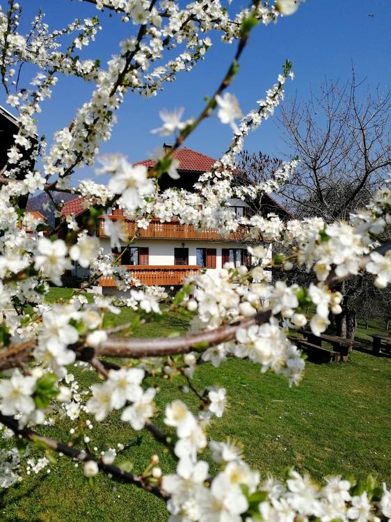 Turistična kmetija Lesjak